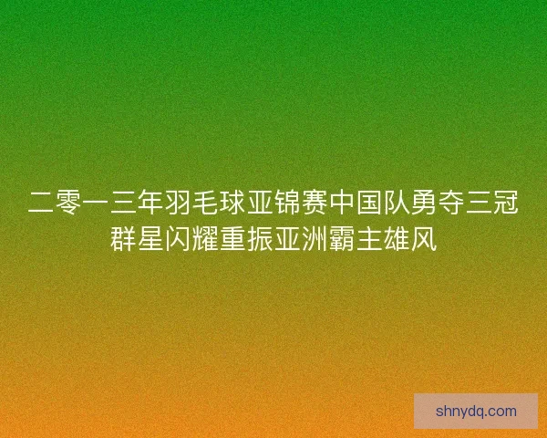 二零一三年羽毛球亚锦赛中国队勇夺三冠群星闪耀重振亚洲霸主雄风