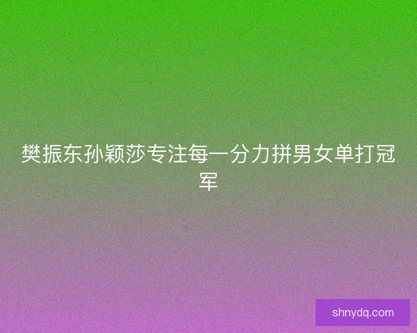 樊振东孙颖莎专注每一分力拼男女单打冠军