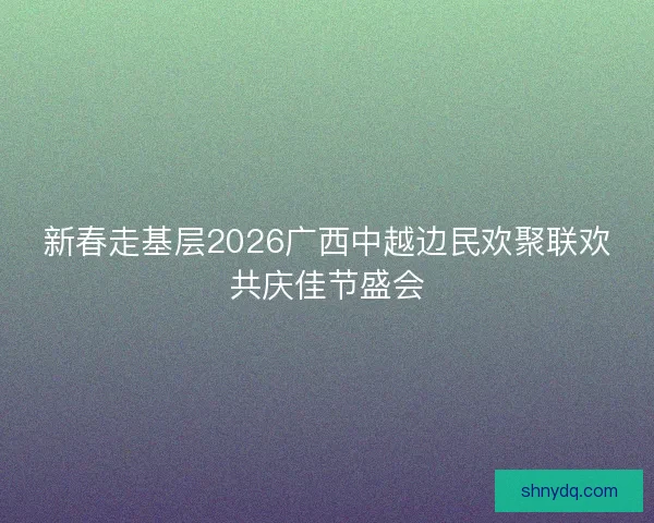 新春走基层2026广西中越边民欢聚联欢共庆佳节盛会